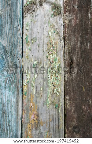 photo texture painted wood of different colors