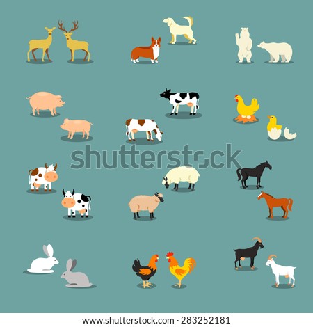 Farm animals and pets