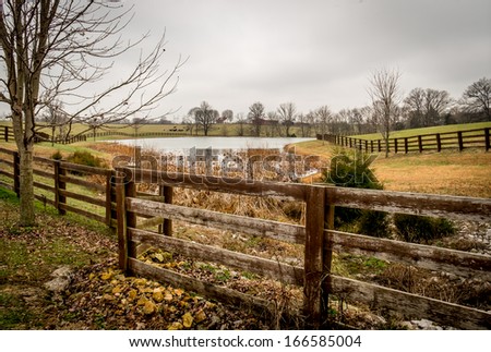 Farm pond surrounded by a wooded fence in south-central Kentucky fall tree sky clouds weathered farm ranch rural country grass leaves shrubs cold water