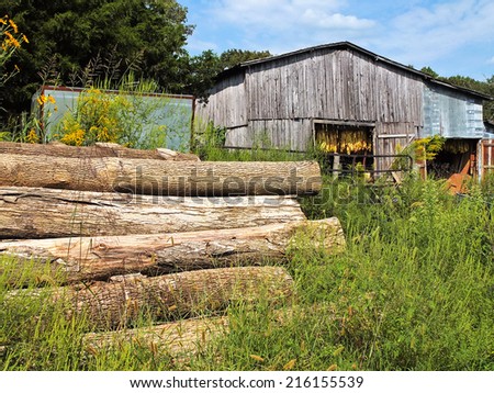 Wood and Barn in the summertime in south-central Kentucky hot lumber timber grass leaves weeds sky clouds texture ranch farm country rural homestead trees tobacco curing