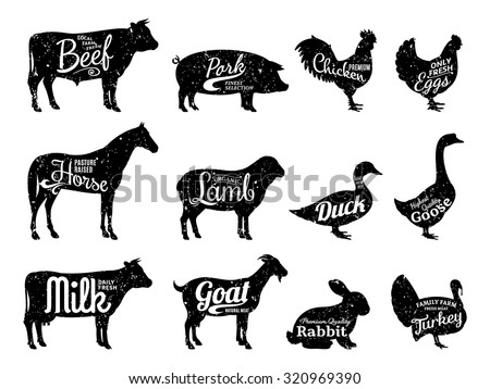 Set of butchery logo templates. Farm animals with sample text. Retro styled farm animals silhouettes collection for groceries, meat stores, packaging and advertising. Vector logotype design.