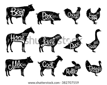 Set of butchery logos. Farm animals with sample text. Retro styled farm animals silhouettes collection for groceries, meat stores, packaging and advertising. Vector logotype design.