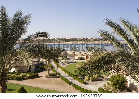 Palm trees and buildings in Egypt with sea and beach in the background