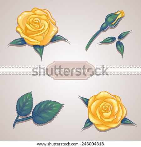 Beautiful flower yellow rose set with leaf, Vector roses illustration