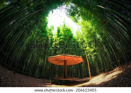 A small bench made out of bamboo among the bamboo forest in Damyang, South Korea