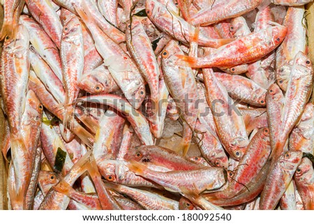 Fresh from the ocean red fish catch on ice  displayed for sale at a local fish market stand on Crete.