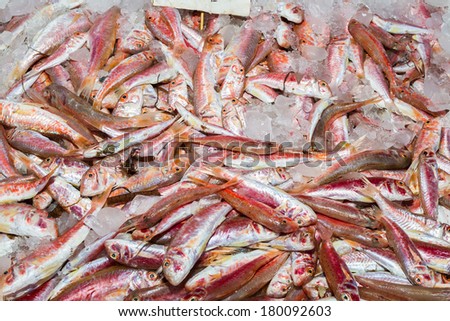 Fresh from the ocean red fish catch on ice at a local fish market stand on Crete.