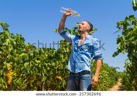 Heat exhausted young farmer in vineyard, poors a bottle of water on his head to cool himself off.