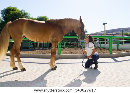 Attractive young woman kissing the nose of her horse, and prepares the animal for grooming.