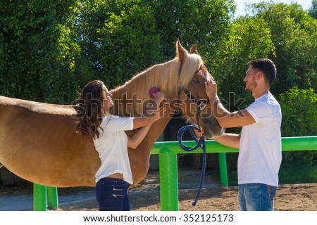 Young couple grooming and scrubbing a brown female horse at the stables of a horse riding club, preparing it for a ride.