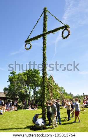 TORSTUNA, SWEDEN - JUNE 22: Unidentified people take care of maypole in midsummer event.The official name is midsummer event and org are hembygd Torstuna on June 22, 2012 in Torstuna Sweden