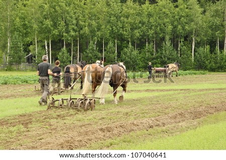RASBO, SWEDEN - JULY 7: Unidentified people in retro working horses event. The official name is horses day and org are Rasbo nybyggarland on July 7, 2012 in Rasbo Sweden.
