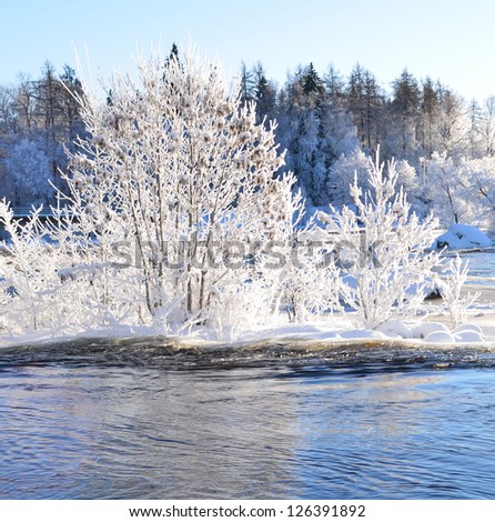 River landscape in winter and tree branches covered with white frost