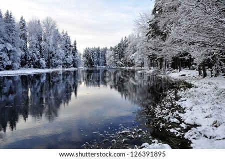 River landscape in winter and tree branches covered with white frost