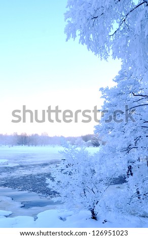River in winter and tree branches covered with white frost