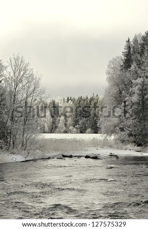 River in winter and tree branches covered with white frost