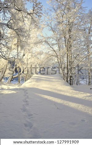 Landscape in winter and tree branches covered with white frost in sunrise
