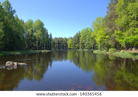 Swedish river and natural salmon area in summer
