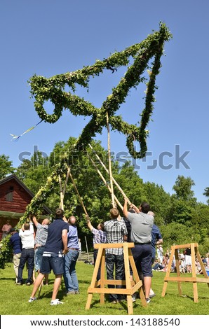 TORSTUNA,SWEDEN - JUNE 21: Unidentified people take care of maypole in midsummer event. The official name is midsummer event and organization are hembygd Torstuna on June 21, 2013 in Torstuna Sweden