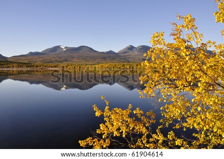 Calm lake reflection in autumn