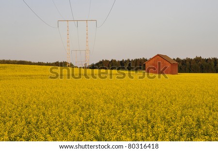 An Swedish rural landscape with electricity pylons and a red barn in sunset.