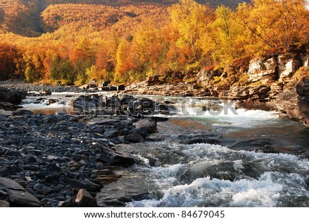 Flowing river in autumn , Abisko National park in Sweden