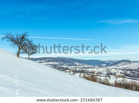 Winter Village Scene with Lonely Tree