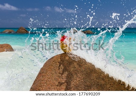 Seychelles beach, coconut, splash