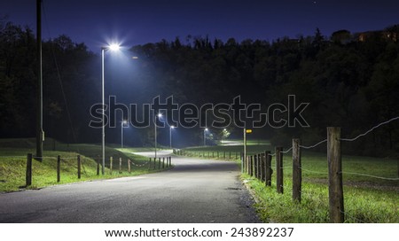 Night road with curves and street lamp. A green field around the road