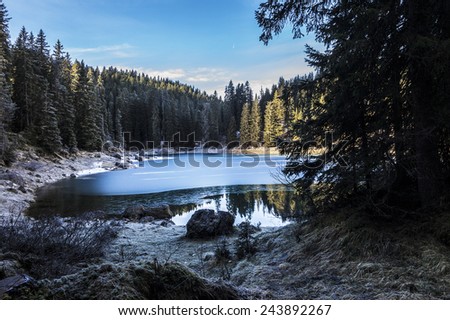 Carezza lake in winter with frosty surface. Pinewood in the background