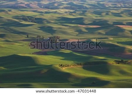 Rolling hills of Farmland in the palouse