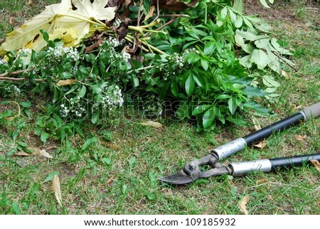 Gardening Loppers
