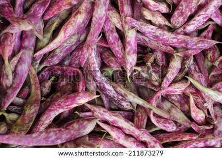 Fresh vegetable red string beans