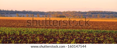 The tapestry of a cropping field in Black Soil Country of the Darling Downs Queensland Australia.