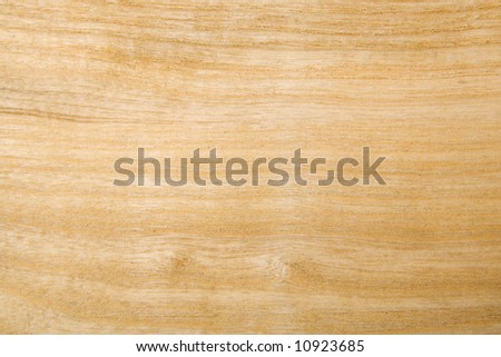 Unprocessed ash wood texture background