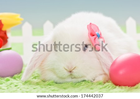 white baby rabbit with a bow, flowers and easter eggs