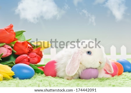 white baby rabbit with flowers and easter eggs on grass with blue sky