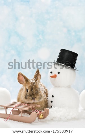 little rabbit in winter landscape with slide and snowman
