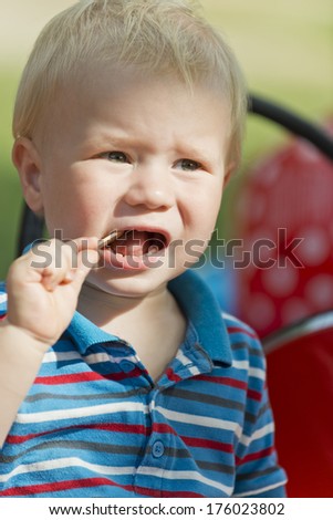A toddler with a small piece of wood in his mouth.