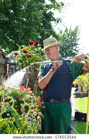 Gardener watering his roses with a spray nozzle.