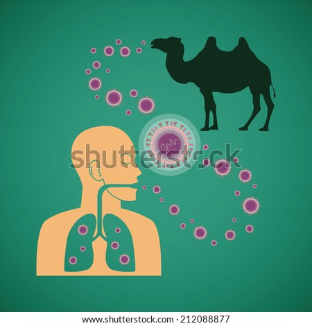 Concept of man and animal respiratory pathogenic MERS virus