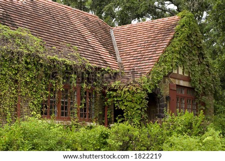 Stock photo old elegant home overgrown with weeds and ivy on the house great shot for a landscape company or 1822219