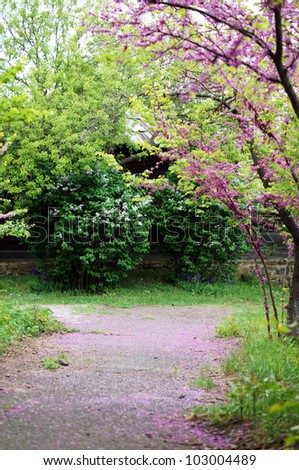 Spring time: garden road