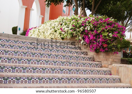 Courtyard of mediterranean villa with ceramic tile walkway and blooming bushes in Egypt