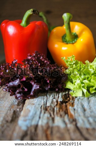 Fresh vegetables, different colors of bell pepper and fresh leaves of lettuce