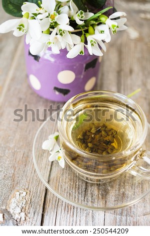 cup of green tea and spring white snowdrop flowers, rustic still life