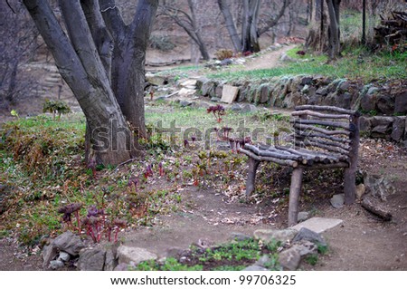 garden bench in botanic garden: spring time