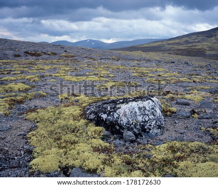 Khibiny Mountains: Arctic desert in the usual summer weather
