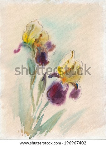 Watercolor sketch: two yellow-purple irises