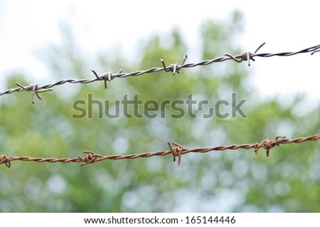 Two barbed wire with green and white background